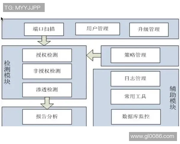 深入探讨上海篮球队近期状态表现与数据分析的综合评估